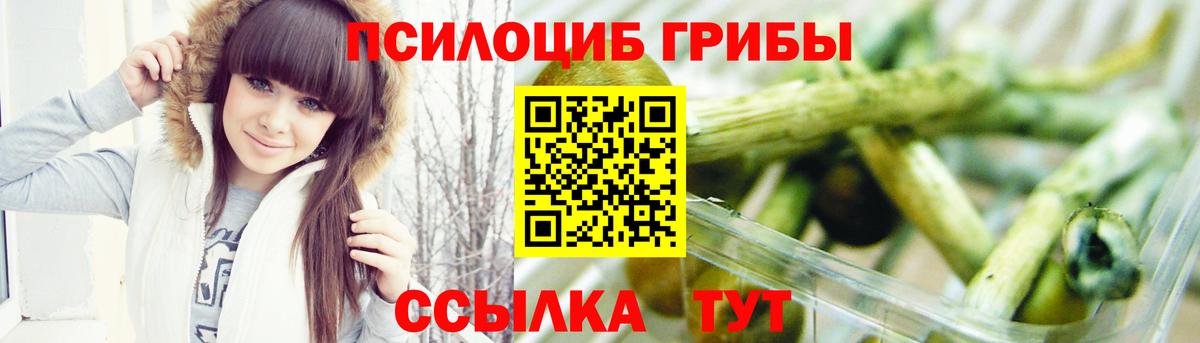 Псилоцибиновые грибы прущие грибы  Псилоцибиновые грибы ЛСД  Дербент  Вход с VPN 